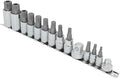 MichaelPro 16-teiliger Torx-Bit-Satz | 1/4', 3/8' und 1/2' | T8 bis T70 |
