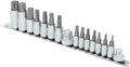 MichaelPro 16-teiliger Torx-Bit-Satz | 1/4', 3/8' und 1/2' | T8 bis T70 |