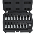 MichaelPro MP012021 18-PIECE 3/8' DRIVE TORX UND HEX BIT SET
