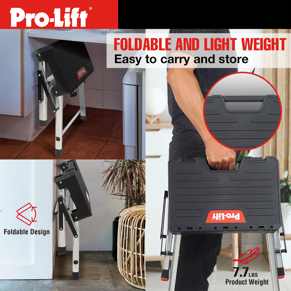 Pro-Lift Zwei-Stufen-Leiter mit Speicher